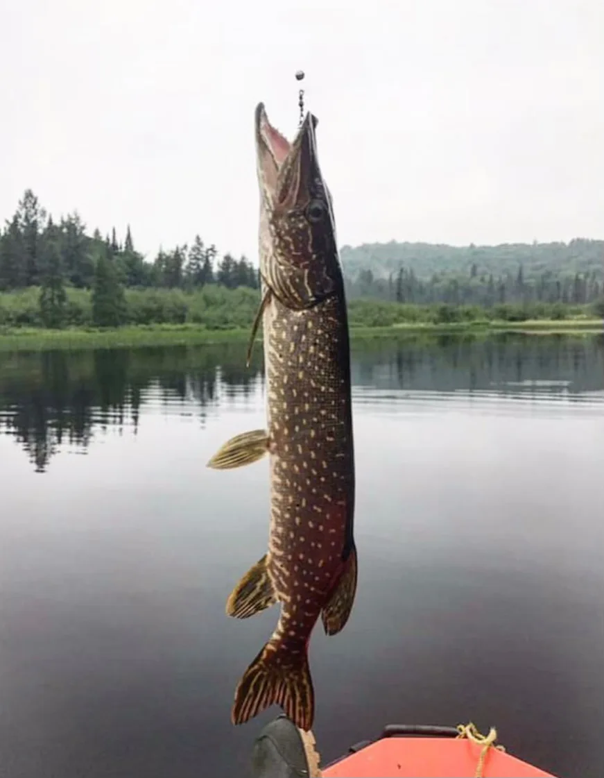 Fishing