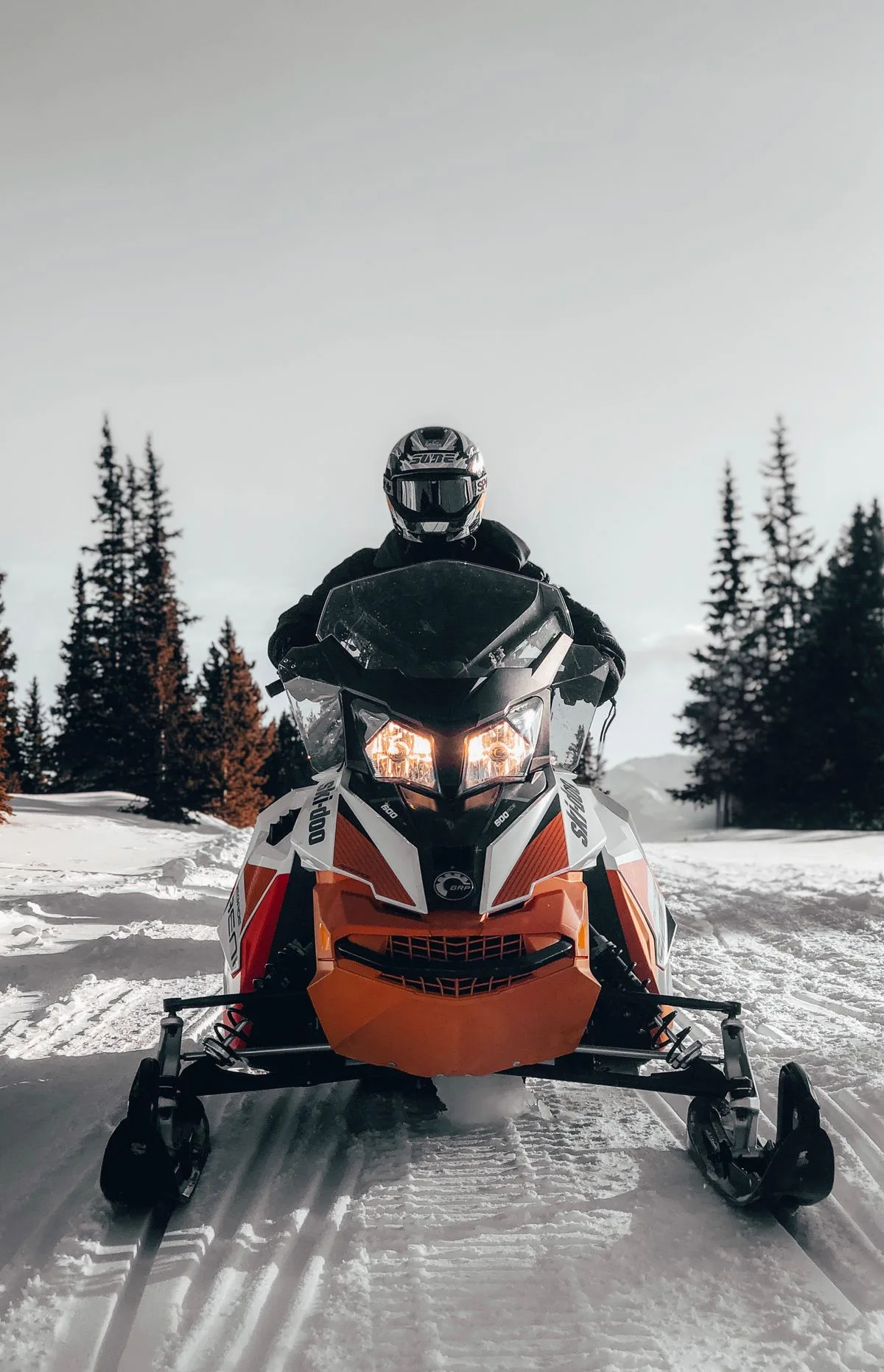 Local Activities