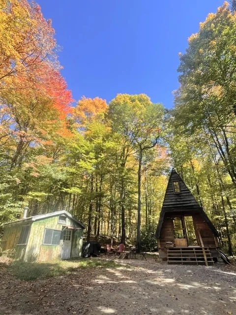 A-Frame cabin and green outbuilding surrounded by colourful autumn trees
